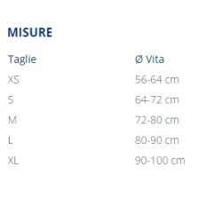FGP P+ DORSOLLIEVO TUTORE POSTURALE DM - immagine 2