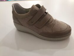 Homepage 10 PODOLINE GALLESE DM